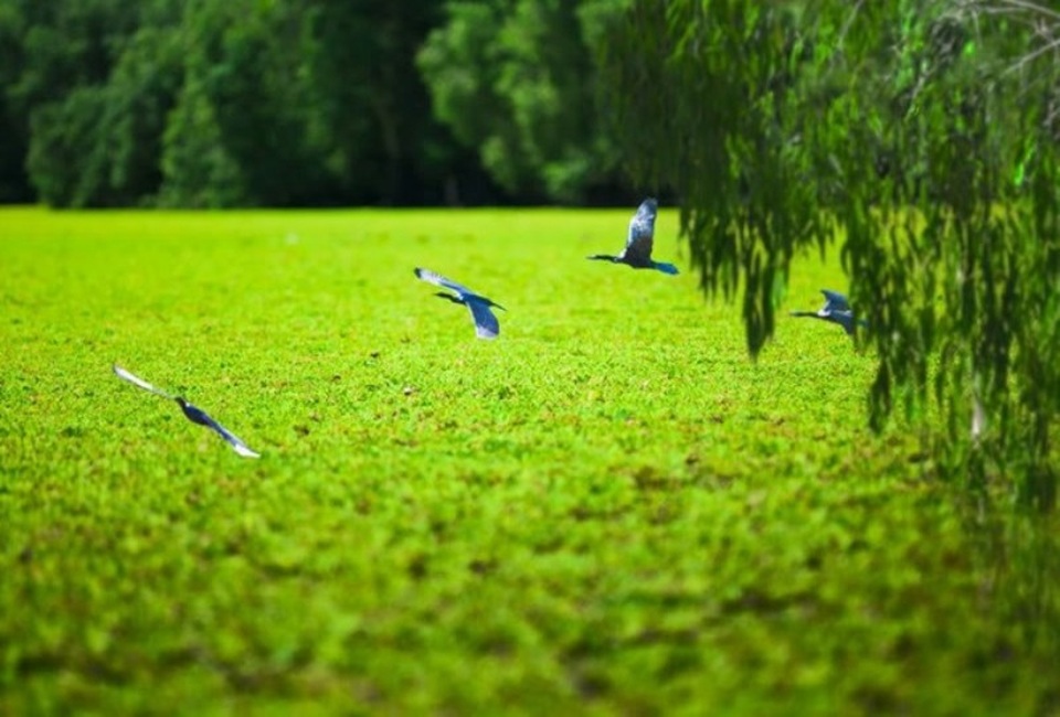 Khám phá An Giang mùa nước nổi - 1 Khám phá An Giang mùa nước nổi - 1