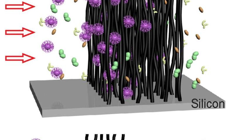 Công cụ ống nano – carbon mới siêu nhạy trong việc phát hiện và nhận dạng các virus - 2 Hình ảnh minh họa các ống nano carbon xếp thành hàng để làm giàu virus dựa trên kích thước