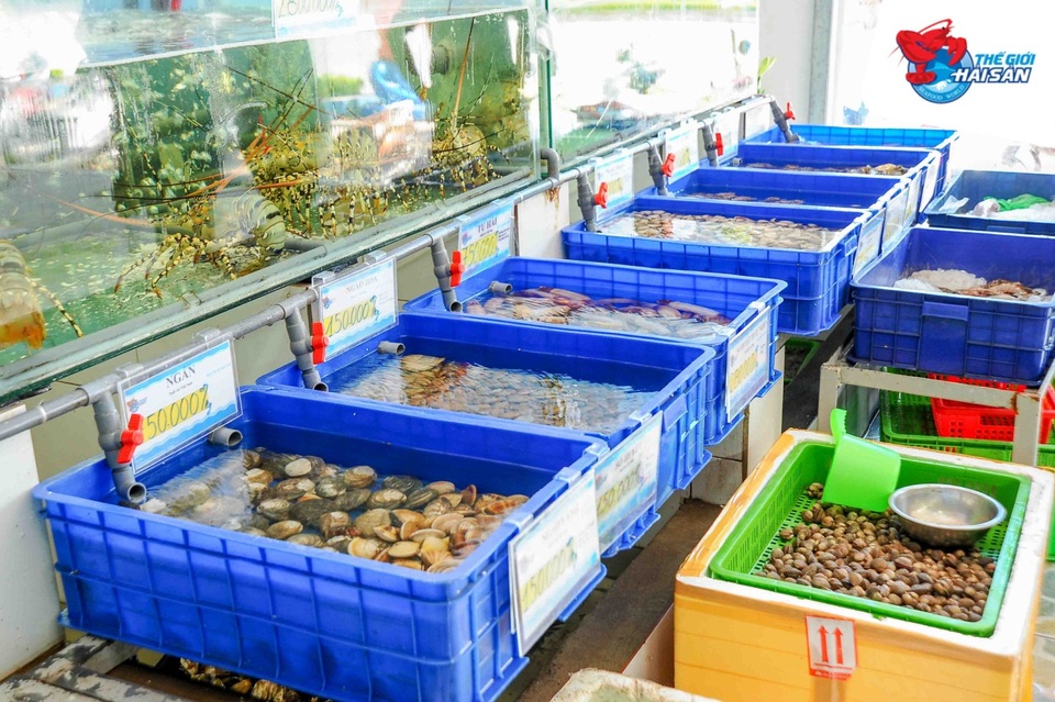 Yếu tố nào giúp cải thiện chiều cao người Việt? - 1 Yếu tố nào giúp cải thiện chiều cao người Việt? - 1