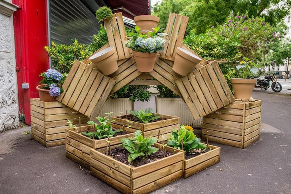 Thủ đô Paris: Người dân trồng cây quanh thành phố - 2