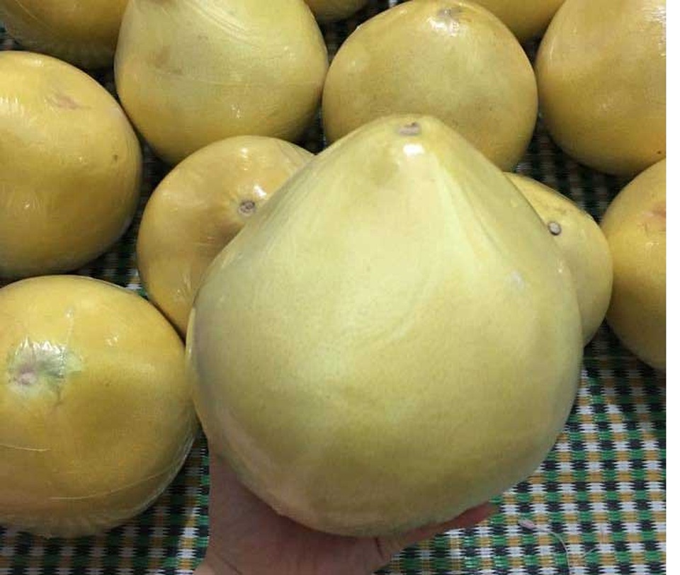 Bưởi lạ vàng bóng: Tò mò ăn thử, lo sợ nguồn gốc - 2
Loại bưởi lạ này nhìn quả to, bên ngoài vỏ được bọc một lớp nilon mỏng
