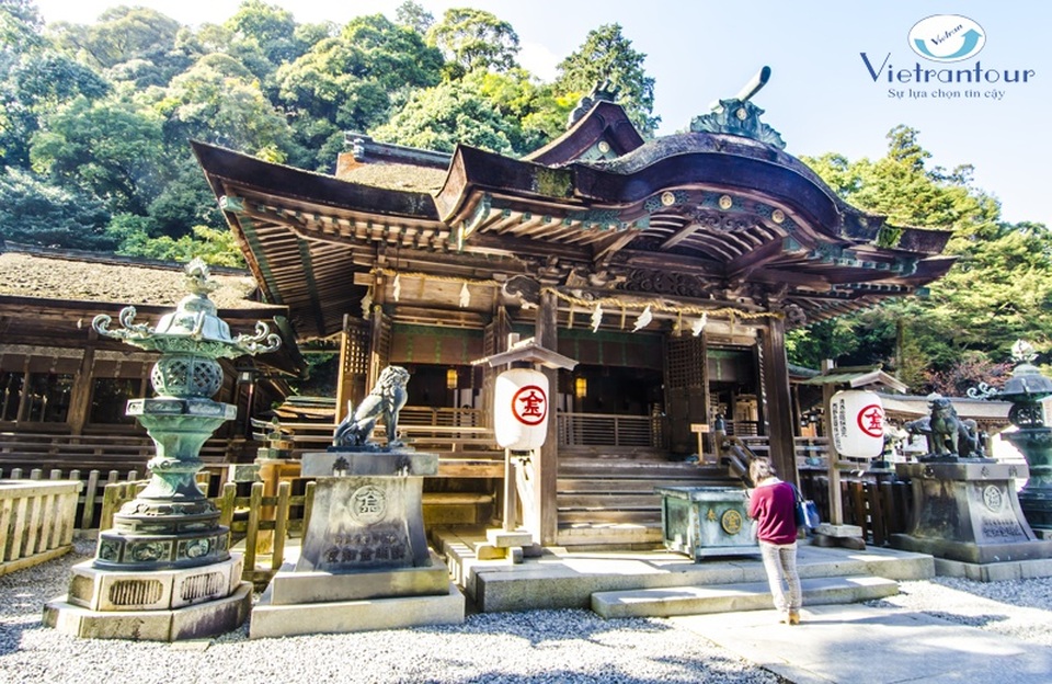 Tour Nhật - Chào năm mới siêu khuyến mãi - 1 Người Nhật sẽ thức đến sáng chào đón những ánh bình minh đầu tiên của năm mới và đi lễ cầu may