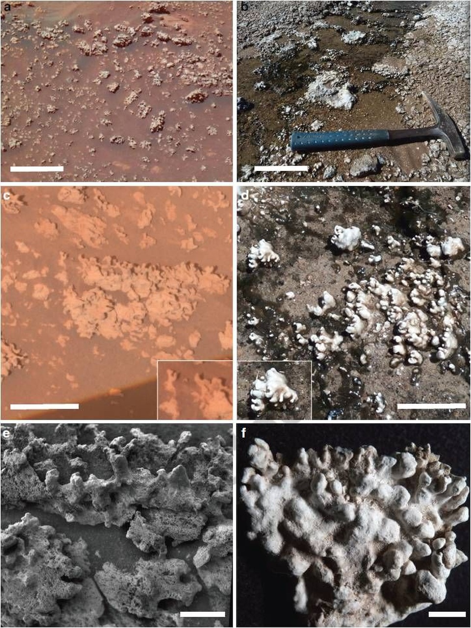 Tàu thăm dò sao Hỏa của NASA đã tìm thấy dấu hiệu của sự sống? - 1 Khoáng chất silic ôxit màu trắng đục ở Home Plate (ảnh trái) xuất hiện trong các khối dạng hạt nhỏ với cấu trúc chẻ ra tương tự như khoáng chất này ở El Tatio (ảnh phải)