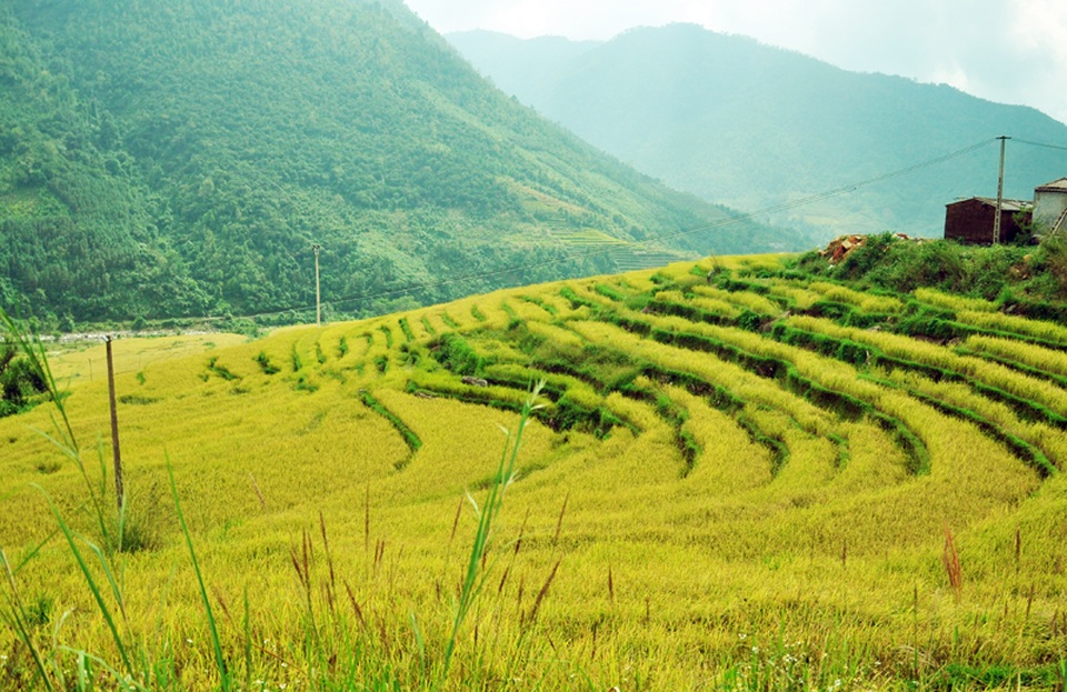 Bình Liêu cần có thêm biển chỉ dẫn đến các điểm du lịch - 2 Bình Liêu cần có thêm biển chỉ dẫn đến các điểm du lịch - 2
