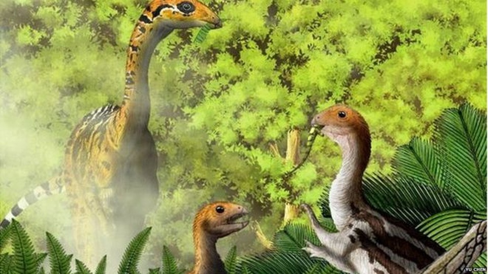 Một vài loài khủng long có răng khi mới sinh - 1 Một vài loài khủng long có răng khi mới sinh - 1