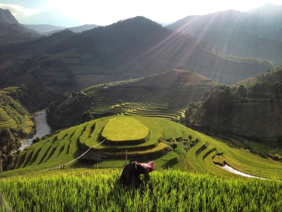 Ngỡ ngàng vẻ đẹp Mù Cang Chải mùa lúa chín - 10 Ngỡ ngàng vẻ đẹp Mù Cang Chải mùa lúa chín - 10