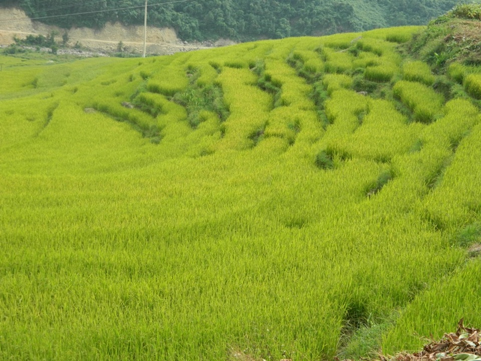 Có một “Sa Pa thu nhỏ” ở miền biên ải Quảng Ninh - 10