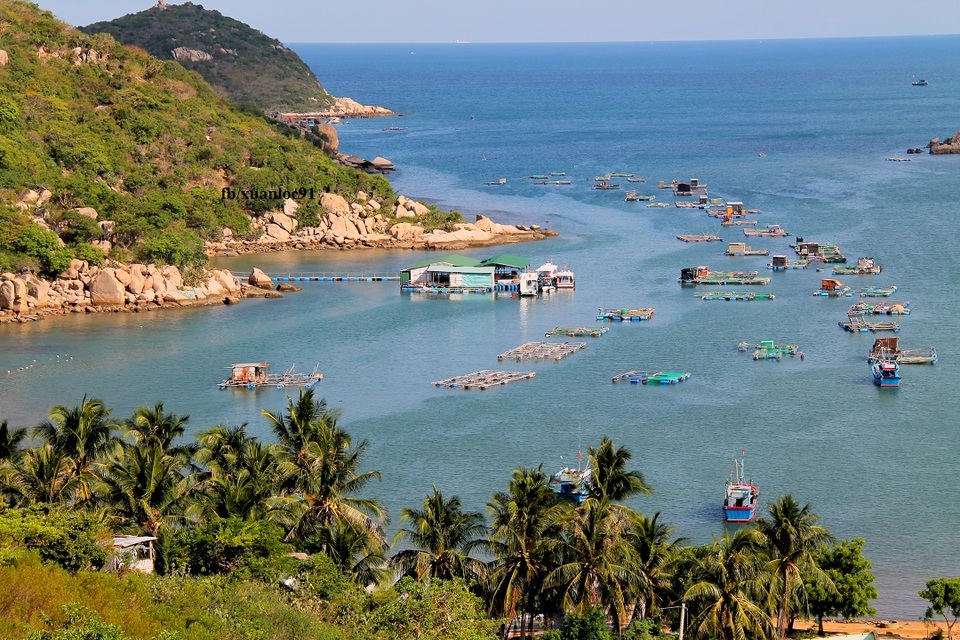 Cảnh sắc tuyệt đẹp trên cung đương biển qua Ninh Thuận - 11 Cảnh sắc tuyệt đẹp trên cung đương biển qua Ninh Thuận - 11