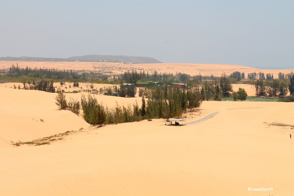 Khám phá tiểu sa mạc Sahara của Việt Nam - 11 Khám phá tiểu sa mạc Sahara của Việt Nam - 11