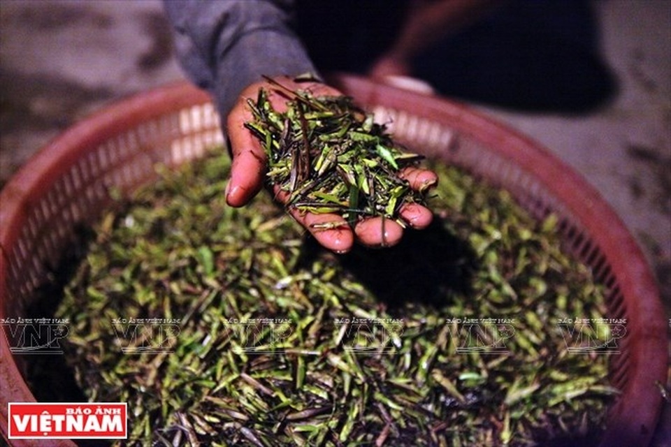 Cả làng đổ xô đi làm giàu nhờ nghề "săn" châu chấu kỳ lạ - 12