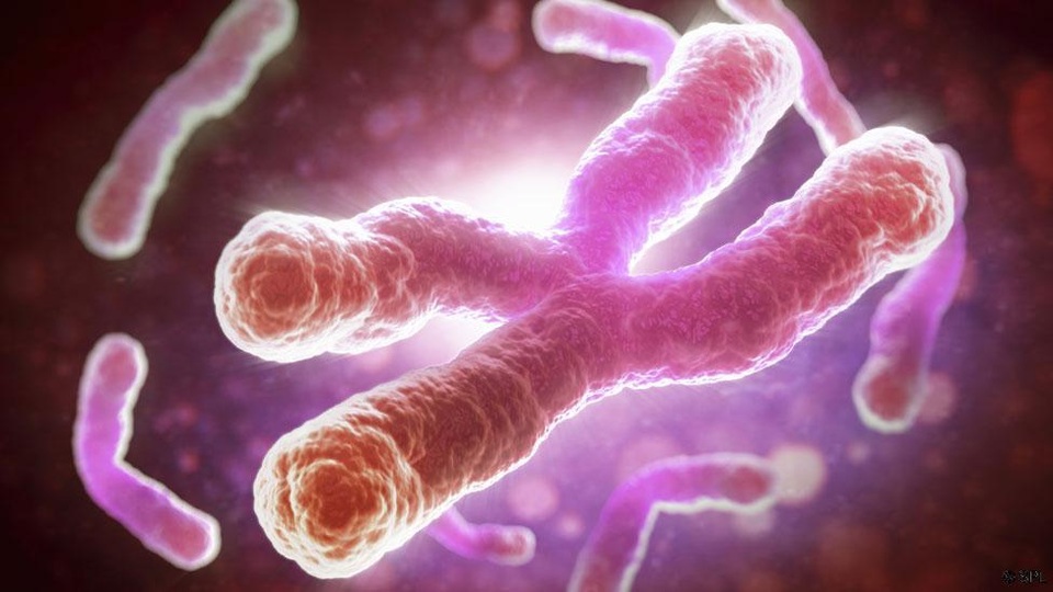 Một nhiễm sắc thể