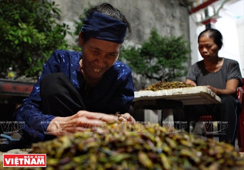 Cả làng đổ xô đi làm giàu nhờ nghề "săn" châu chấu kỳ lạ - 14