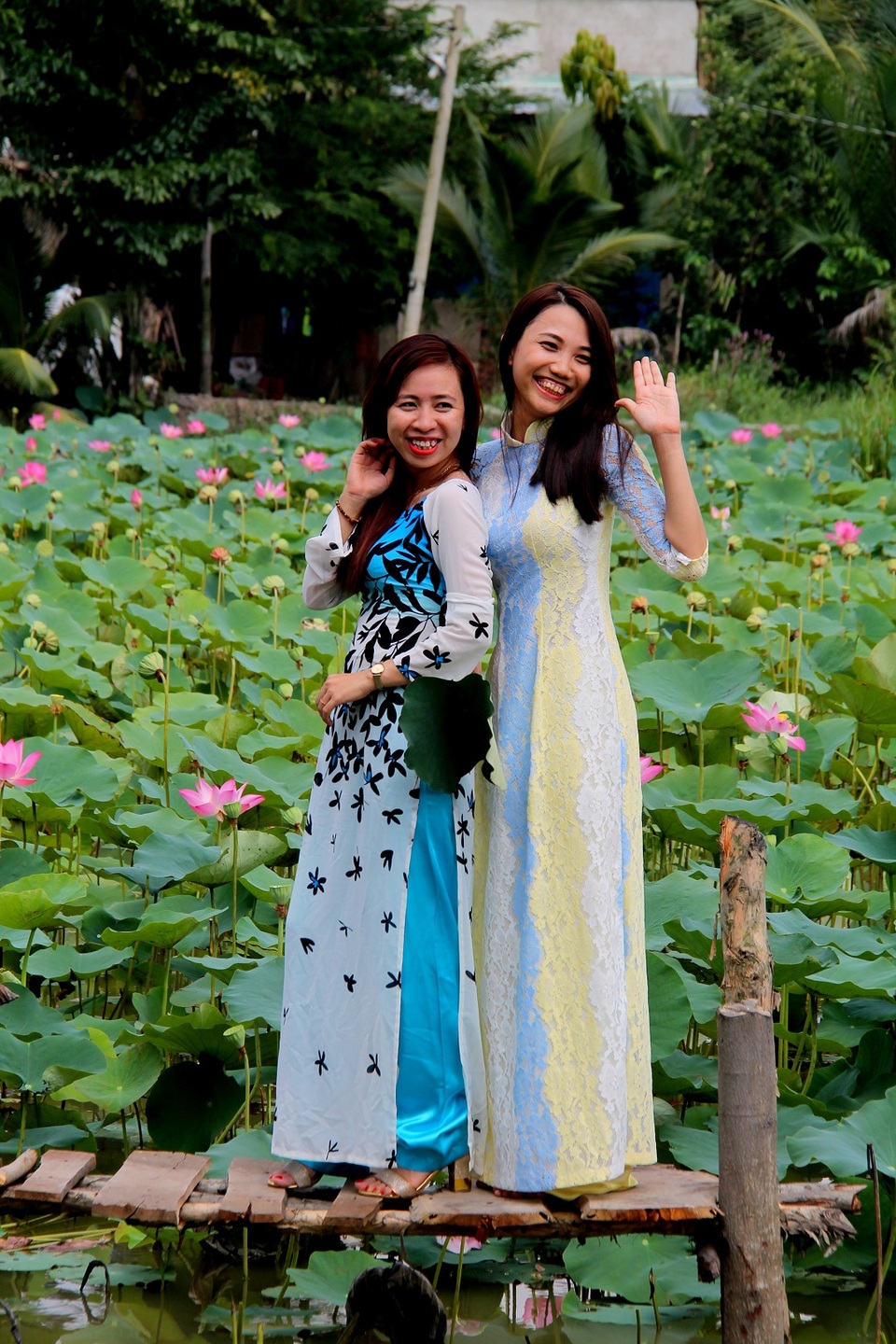 E ấp đồng sen Long Phước giữa lòng Sài Thành - 13 E ấp đồng sen Long Phước giữa lòng Sài Thành - 13
