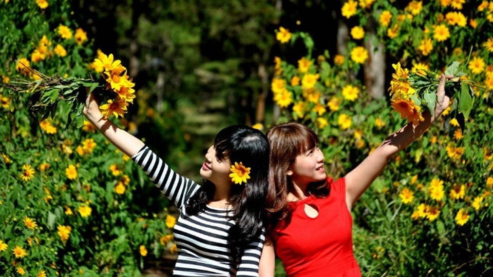 Dã quỳ Đà Lạt thúc giục các tín đồ du lịch - 16 Dã quỳ Đà Lạt thúc giục các tín đồ du lịch - 16