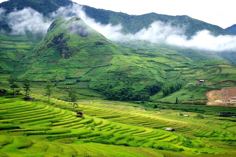 Ngỡ ngàng vẻ đẹp Mù Cang Chải mùa lúa chín - 2 Ngỡ ngàng vẻ đẹp Mù Cang Chải mùa lúa chín - 2