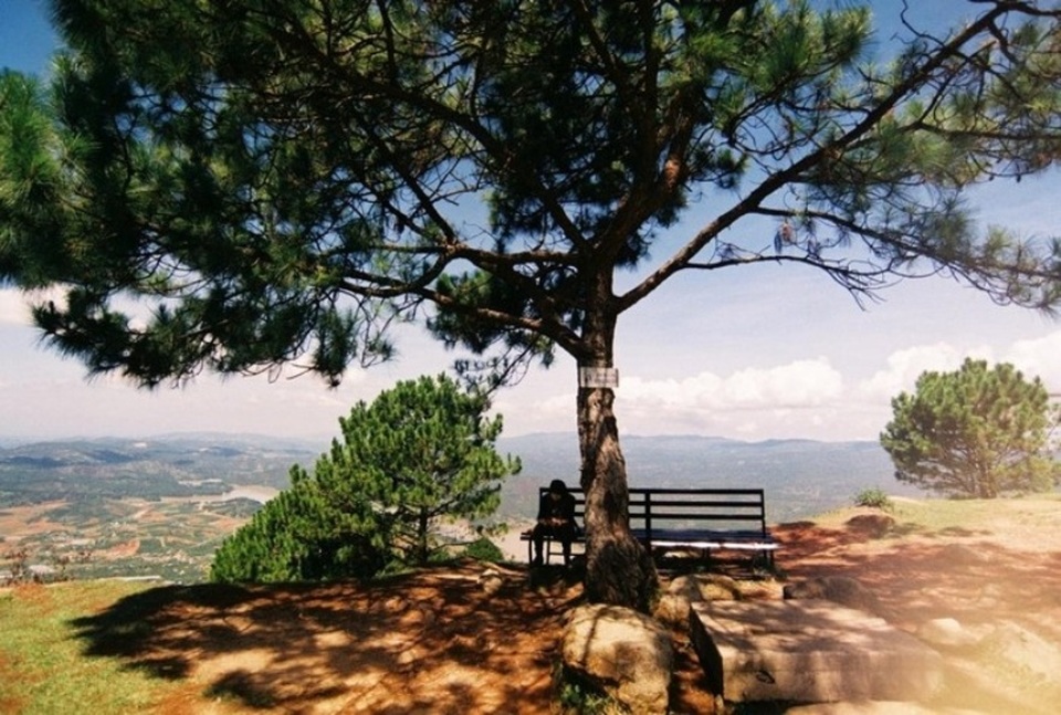 Món ngon, điểm đẹp không nên bỏ lỡ khi đến Đà Lạt - 2 Món ngon, điểm đẹp không nên bỏ lỡ khi đến Đà Lạt - 2