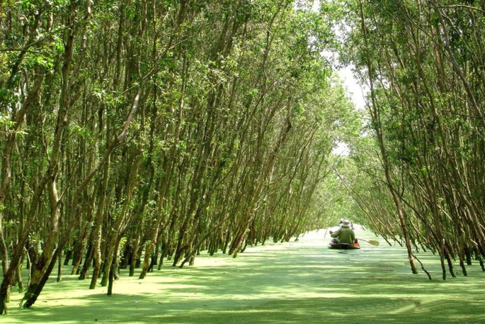 Khám phá An Giang mùa nước nổi - 2 Khám phá An Giang mùa nước nổi - 2