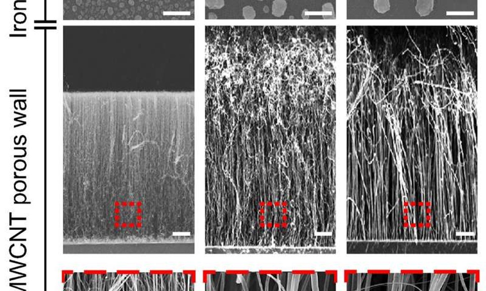 Công cụ ống nano – carbon mới siêu nhạy trong việc phát hiện và nhận dạng các virus - 3 Khoảng cách giữa các ống phù hợp với kích thước của virus – thanh tỷ lệ từ 10µm tới 200nm.