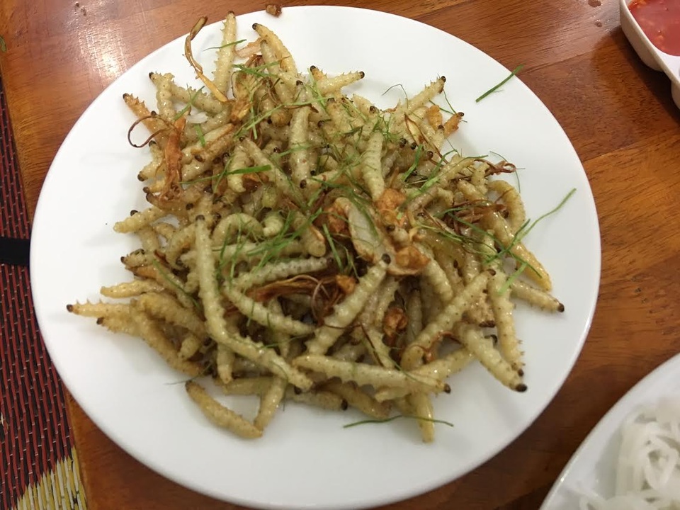 
Sâu tre đang là món ăn khoái khẩu được người Hà Nội lùng mua
