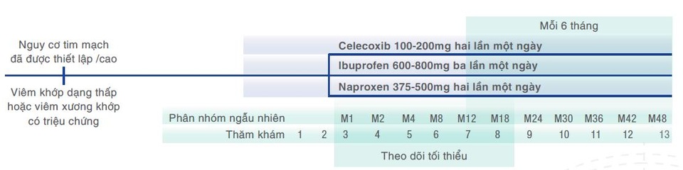 Nghiên cứu PRECISION đánh giá nguy cơ tim mạch ở bệnh nhân dùng NSAID - 2 Nghiên cứu Precision so sánh về tính an toàn tim mạch giữa 3 loại NSAID: Celecoxib, Ibuprofen và Naproxen