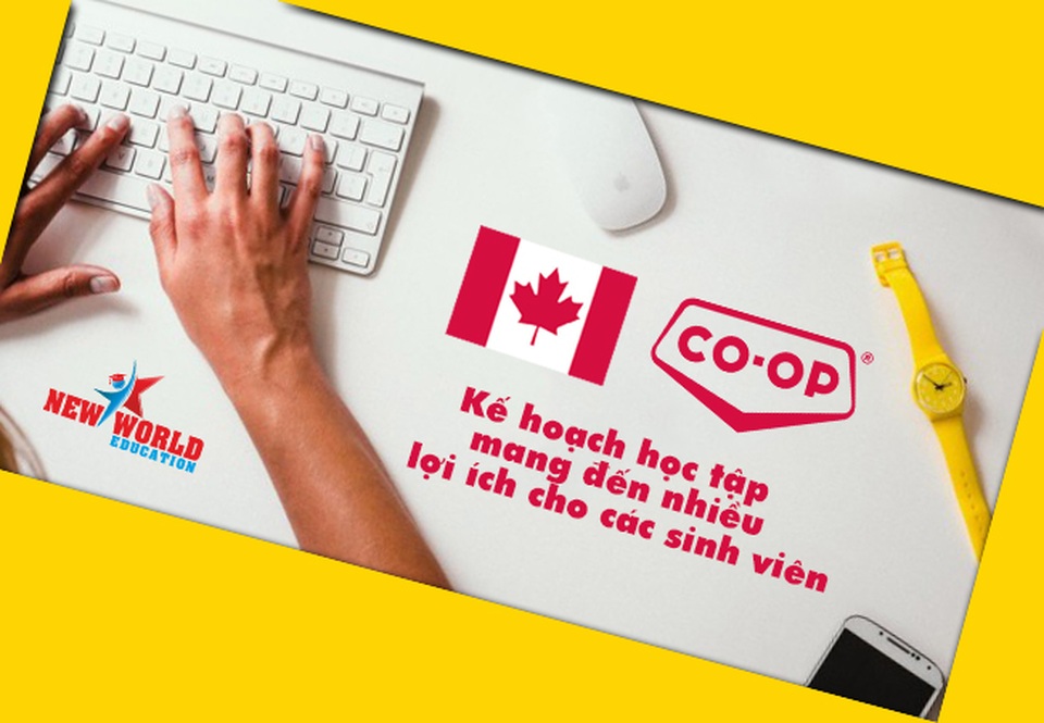 Chương trình thực tập Co-op Canada hút du học sinh quốc tế cùng visa ưu tiên 2017 - 2 Chương trình thực tập Co-op Canada hút du học sinh quốc tế cùng visa ưu tiên 2017 - 2