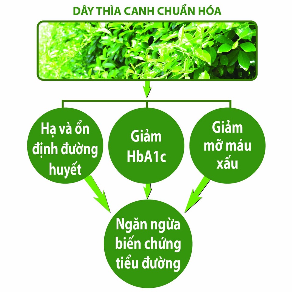 Tiểu đường đi cùng mỡ máu - hiểm họa khôn lường! - 2 Giải pháp hạ và ổn định đường huyết, giảm mỡ máu xấu