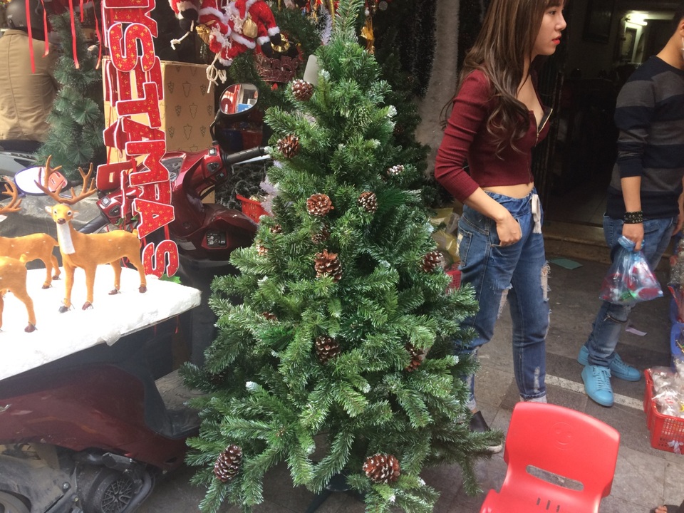 Đắt đỏ đồ trang trí Noel, gần 20 triệu đồng/xe tuần lộc - 2
Cây thông xanh được chuyển ra từ TP.HCM