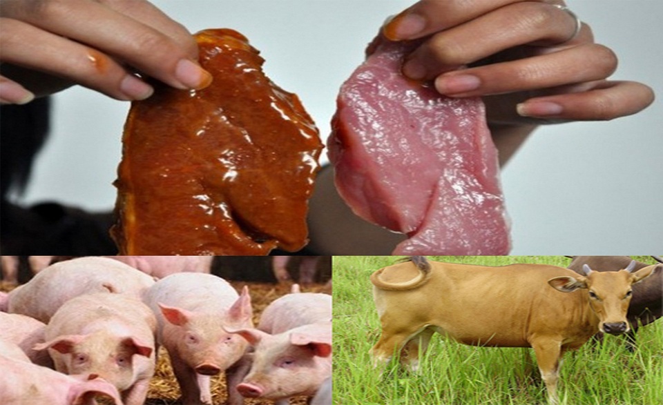 Lưu ý quan trọng để chọn mua và bảo quản thịt bò đúng cách - 2 Lưu ý quan trọng để chọn mua và bảo quản thịt bò đúng cách - 2