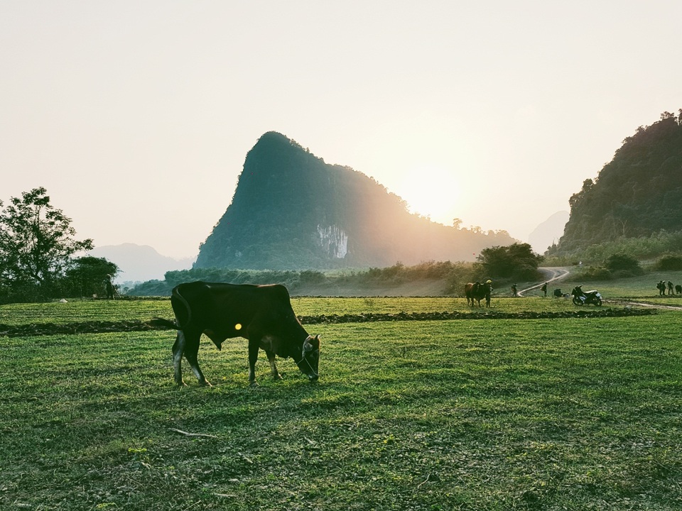 Khả năng bắt nét cực nhanh nhờ công nghệ Dual pixel sẽ giúp bạn không bỏ lỡ bất kỳ khoảnh khắc đẹp nào trên đường đi. Như khoảnh khắc hiếm hoi ánh mặt trời chiều cuối đông nhuộm một màu vàng ươm lên chú bò kia chẳng hạn. Bên cạnh đó, Với chế độ chỉnh tay, ảnh cho màu sắc ấn tượng phù hợp với nhiều đối tượng và khả năng chụp ngược sáng tuyệt vời.