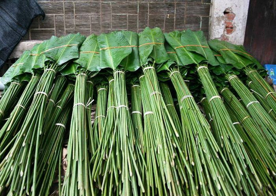 Độc đáo ngôi làng 600 năm tuổi trồng lá dong gói bánh chưng - 3 Những bó lá dong đã được xếp cẩn thận chờ thương lái xuất đi mọi miền đất nước. Ảnh: HP