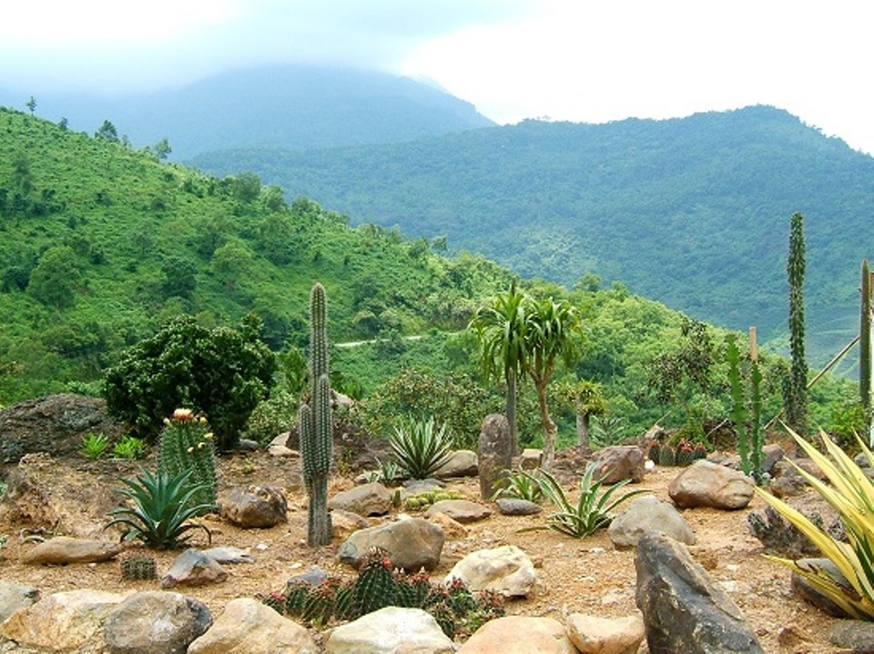 Sức hấp dẫn của Vườn Quốc gia Ba Vì nằm ở sự kết hợp độc đáo giữa khu rừng xanh hoang sơ với những khu đền, di tích kiến trúc Pháp cổ kính.