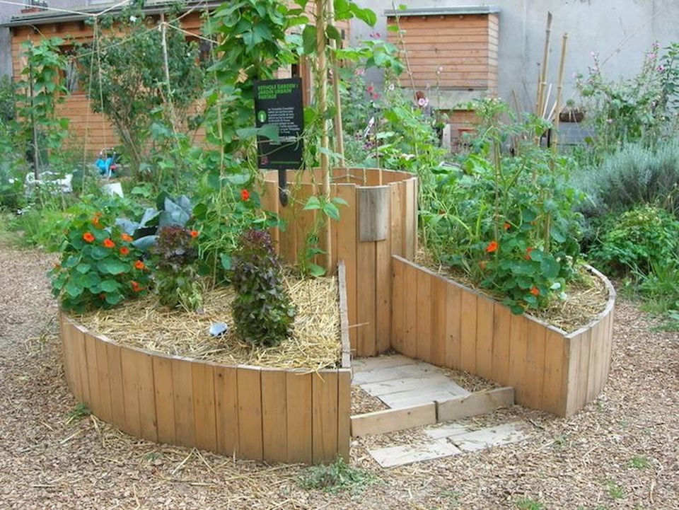 Thủ đô Paris: Người dân trồng cây quanh thành phố - 4