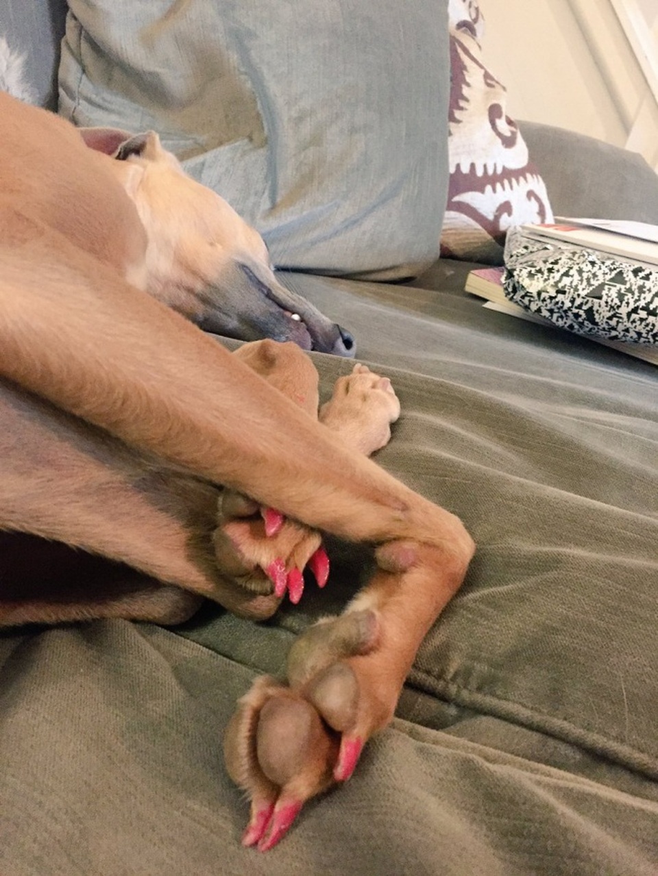 
Ai là thủ phạm?
