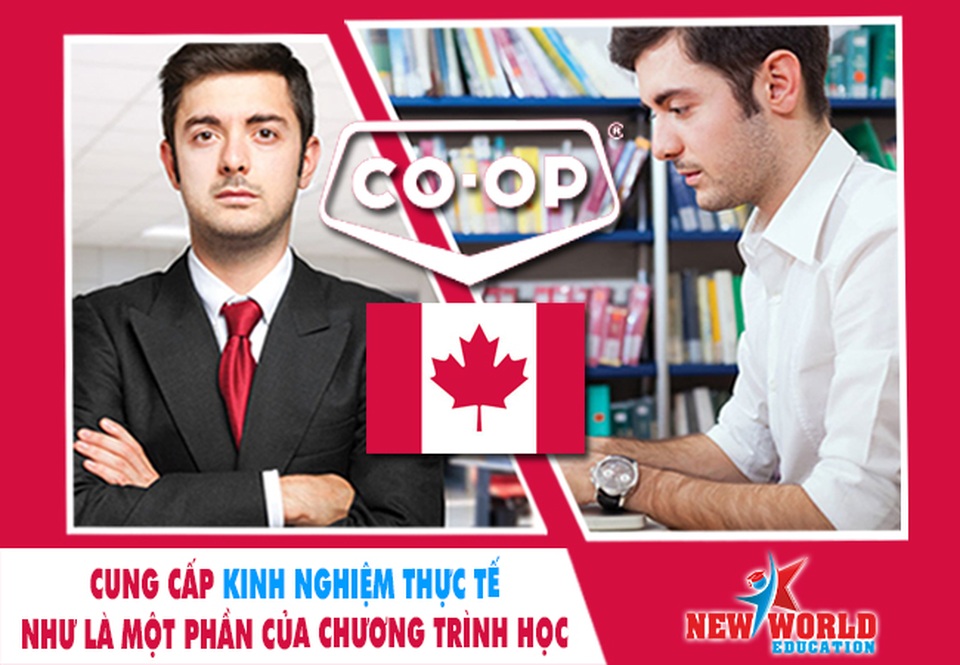 Chương trình thực tập Co-op Canada hút du học sinh quốc tế cùng visa ưu tiên 2017 - 3 Chương trình thực tập Co-op Canada hút du học sinh quốc tế cùng visa ưu tiên 2017 - 3