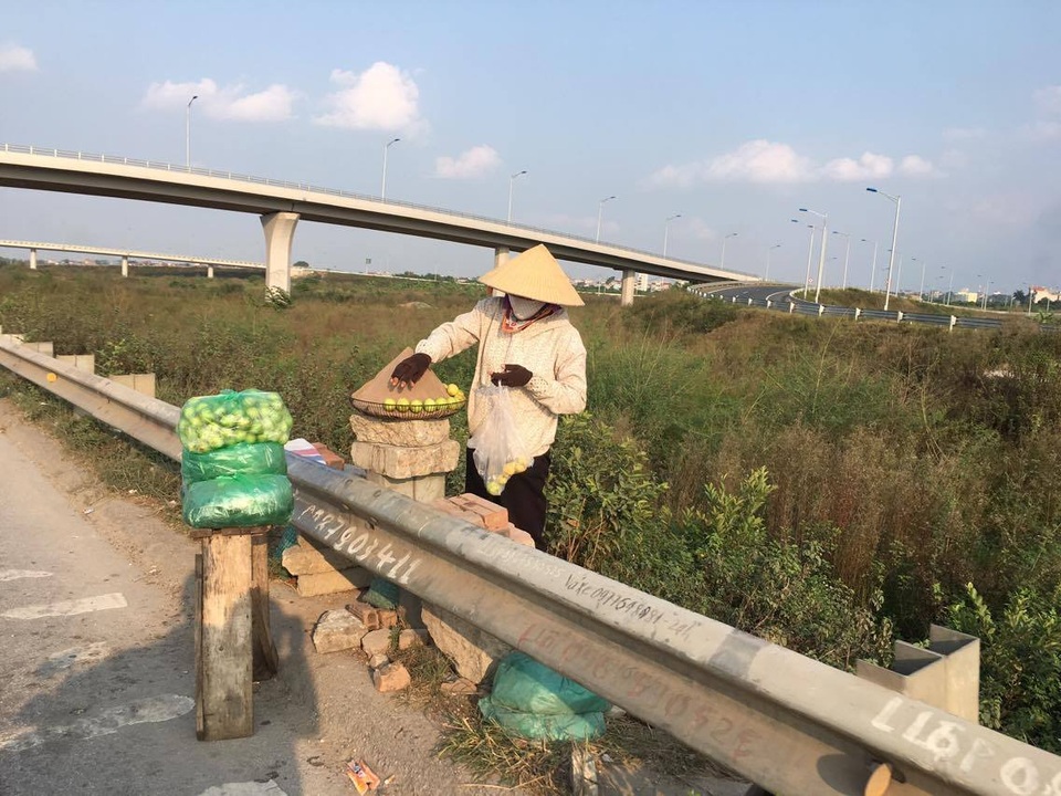 Khấm khá, giàu lên nhờ... ổi - 3 Giá ổi bán buôn hay bán lẻ tại vườn cũng biến động theo mùa, làng Đông Dư có duy nhất một loại ổi găng và chính vụ rơi vào thời điểm tháng 7 âm lịch và tháng 2 âm lịch hàng năm.