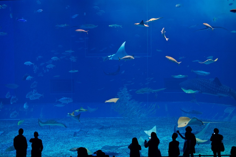 Visa đến Nhật dễ dàng hơn bao giờ hết - 3 Visa đến Nhật dễ dàng hơn bao giờ hết - 3