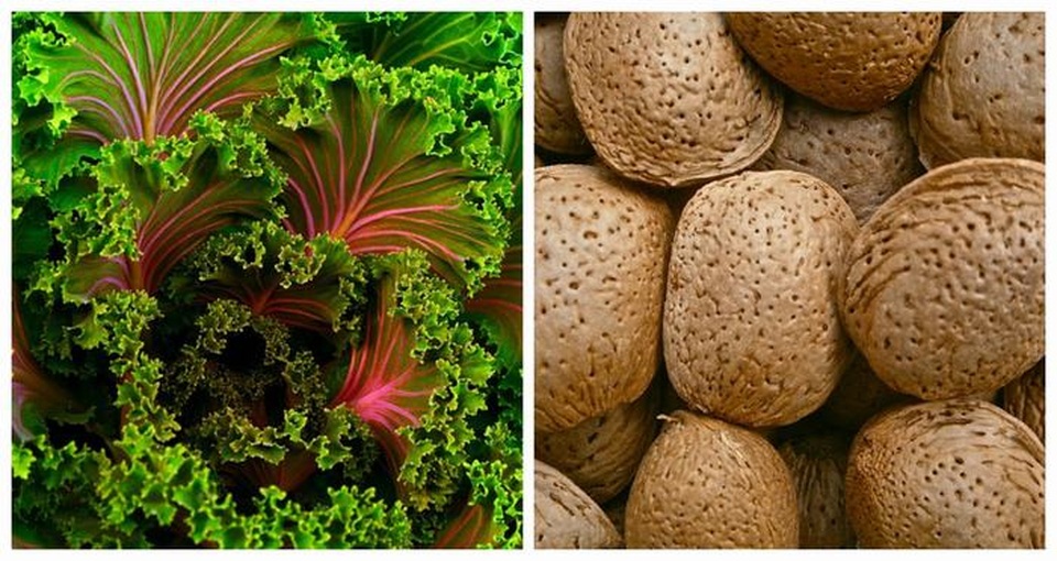 Những "bộ đôi" thực phẩm có lợi cho sức khỏe bạn nên biết - 4 Những "bộ đôi" thực phẩm có lợi cho sức khỏe bạn nên biết - 4