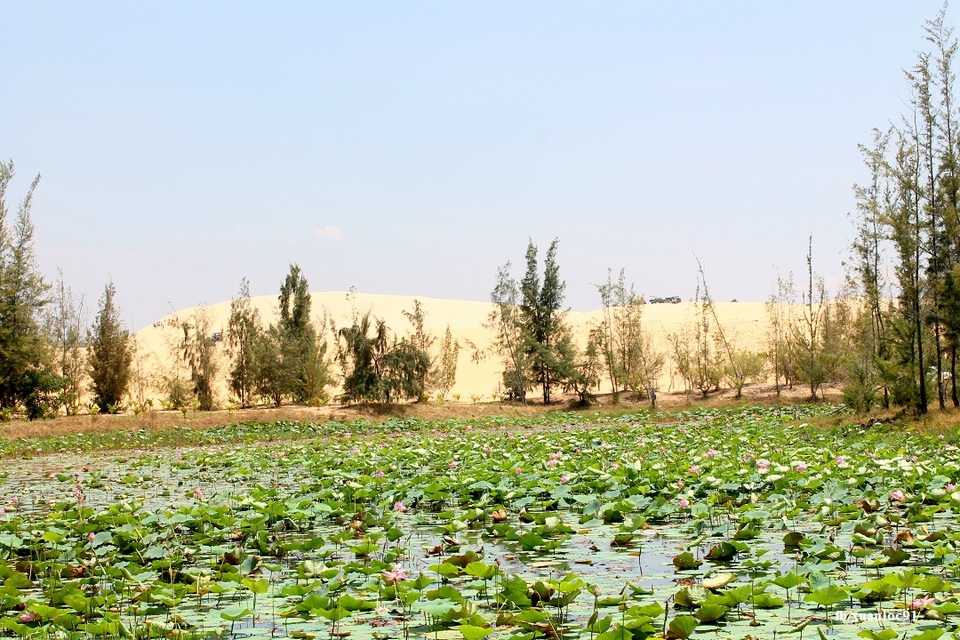 Khám phá tiểu sa mạc Sahara của Việt Nam - 4 Khám phá tiểu sa mạc Sahara của Việt Nam - 4