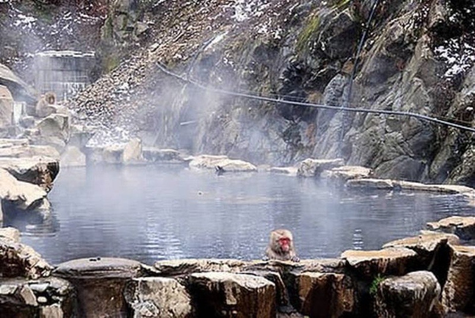 Những suối nước nóng nổi tiếng nhất Việt Nam - 4