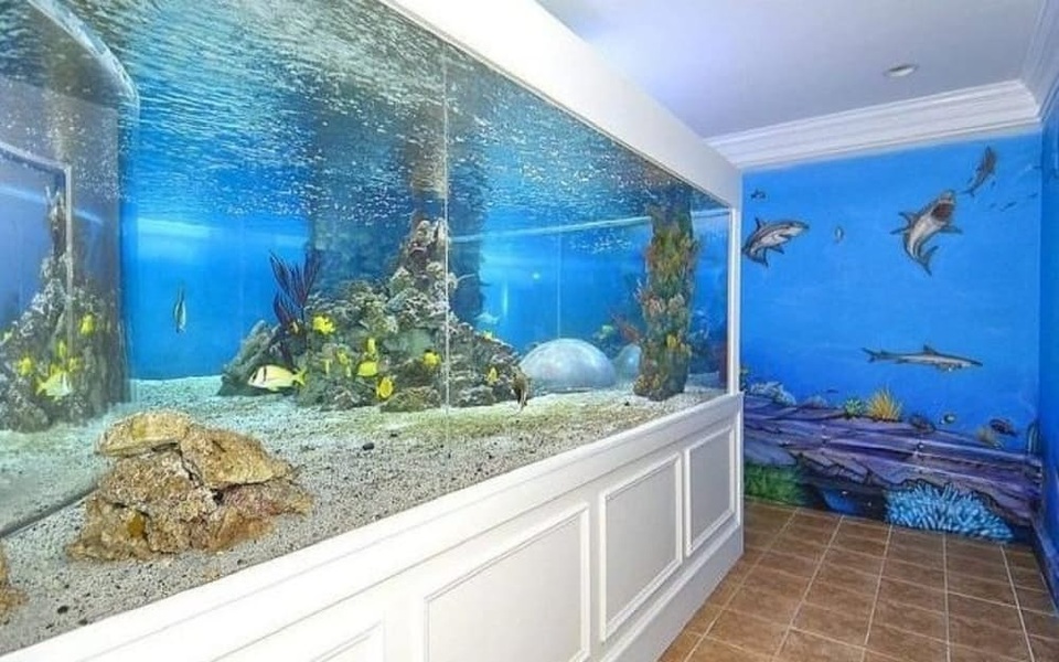 Những khoản tiêu tiền điên rồ nhất của các đại gia thể thao - 4