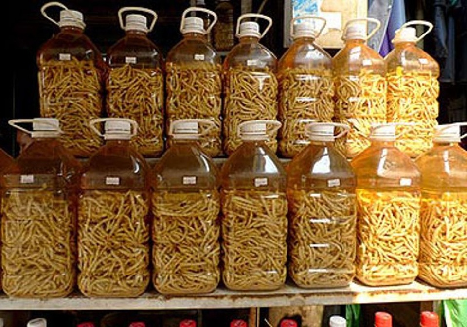 Bò tái kiến đốt: món ăn “chuẩn” hương vị Tam Đảo - 4