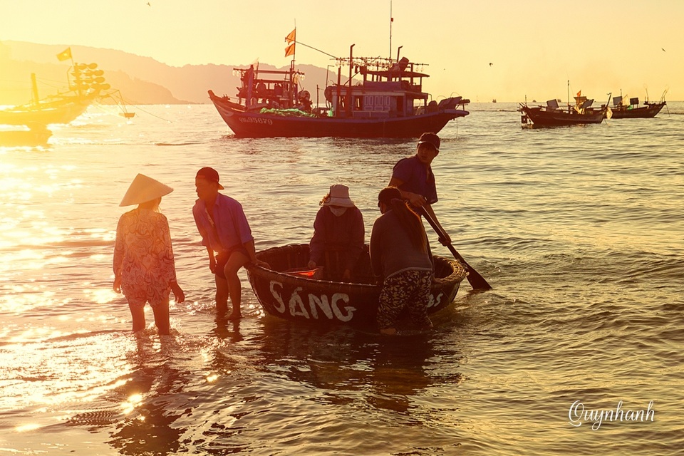Bình minh trên biển Mỹ Khê - 5 Cá về