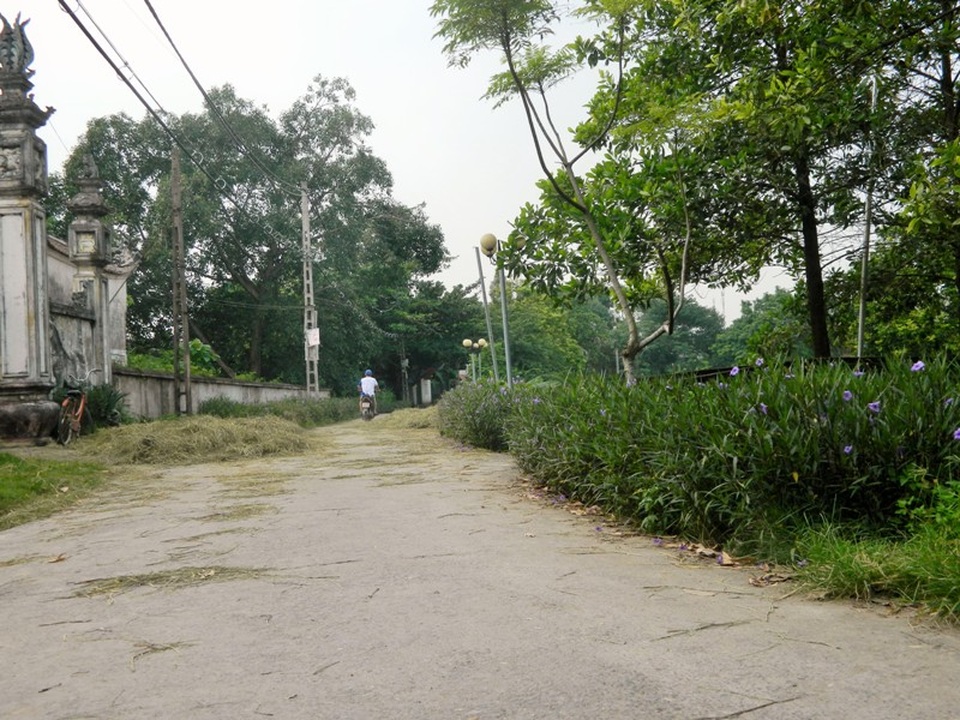 Chiều thu bình yên trên làng cổ Ước Lễ - 5 Chiều thu bình yên trên làng cổ Ước Lễ - 5