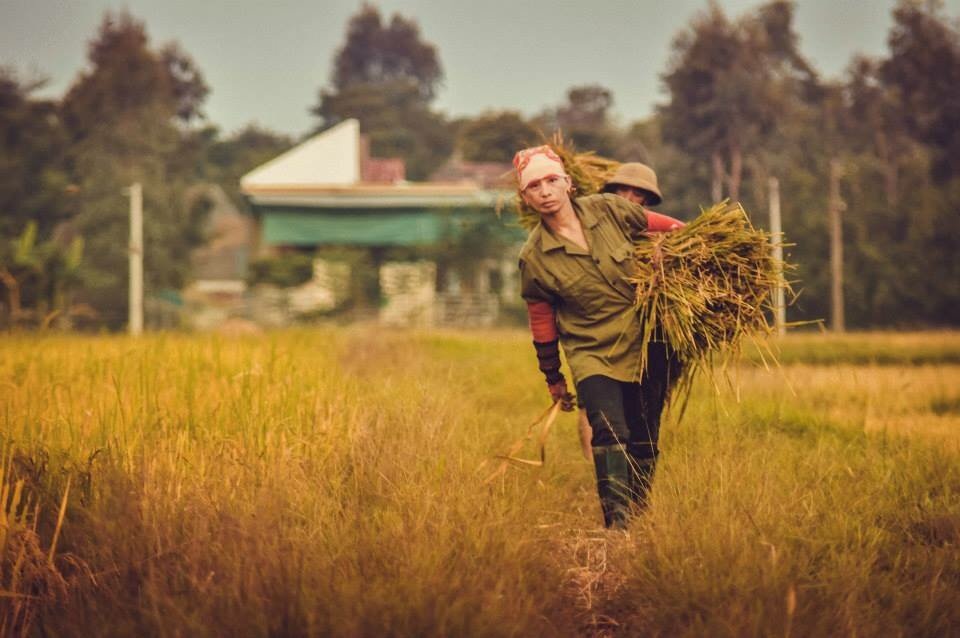 Những khoảnh khắc đẹp của ngày mùa - 5 Cõng lúa…