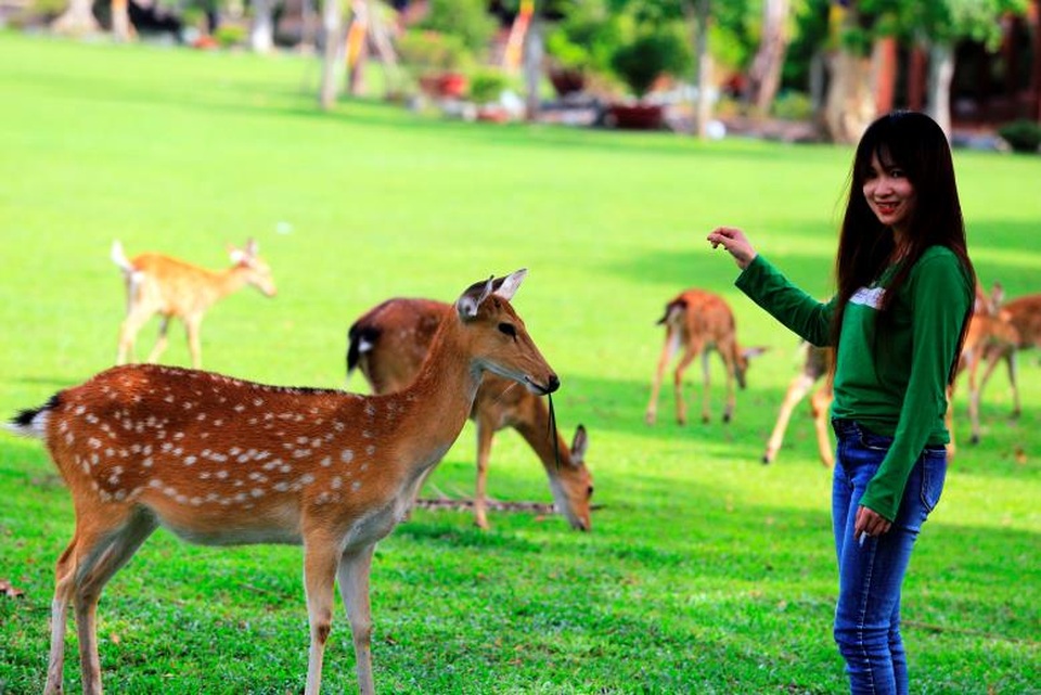 20/10 rồi, làm gì bất ngờ tặng những người phụ nữ thân yêu - 5 20/10 rồi, làm gì bất ngờ tặng những người phụ nữ thân yêu - 5