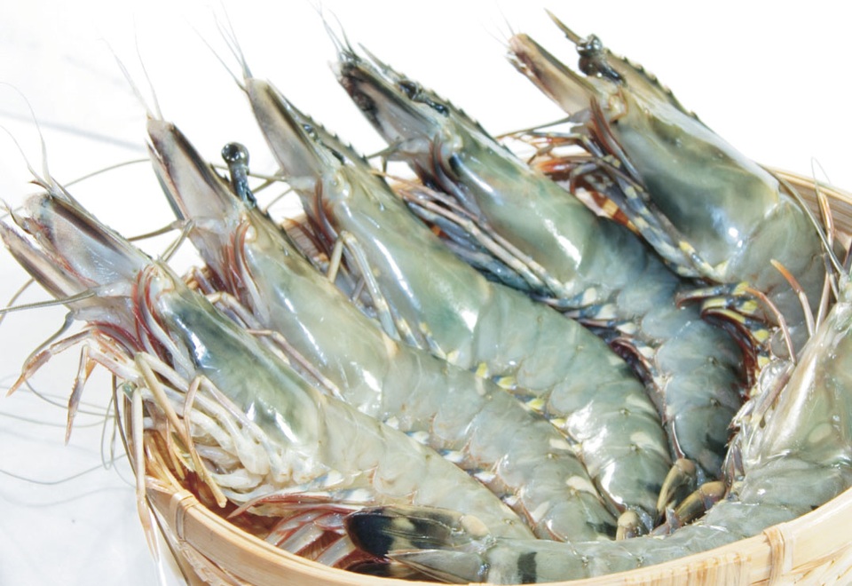 Bí quyết giúp các bà nội trợ chọn đồ hải sản tươi ngon - 5