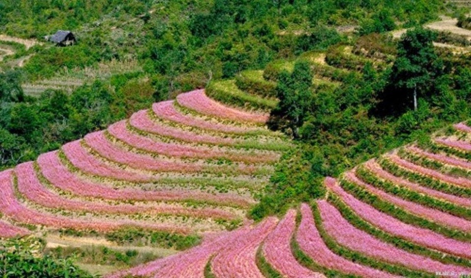 5 điểm đến không thể bỏ qua trong tháng 11 - 5 5 điểm đến không thể bỏ qua trong tháng 11 - 5