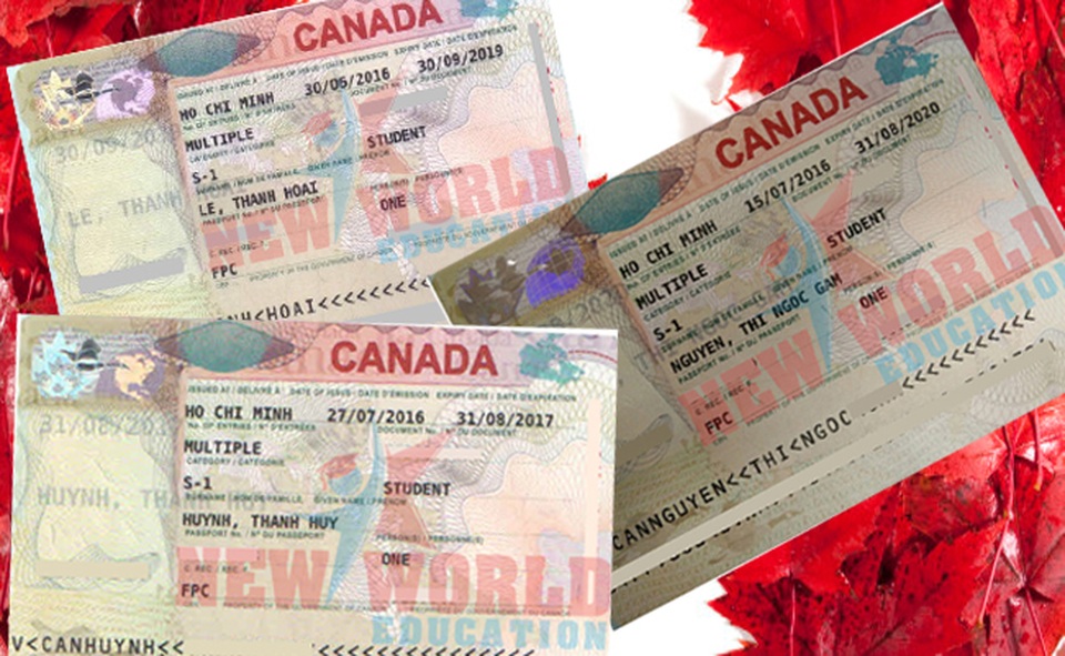Hội thảo Visa ưu tiên CES Niagara College Canada cùng gói quà tặng 5 triệu đồng - 6 Hội thảo Visa ưu tiên CES Niagara College Canada cùng gói quà tặng 5 triệu đồng - 6