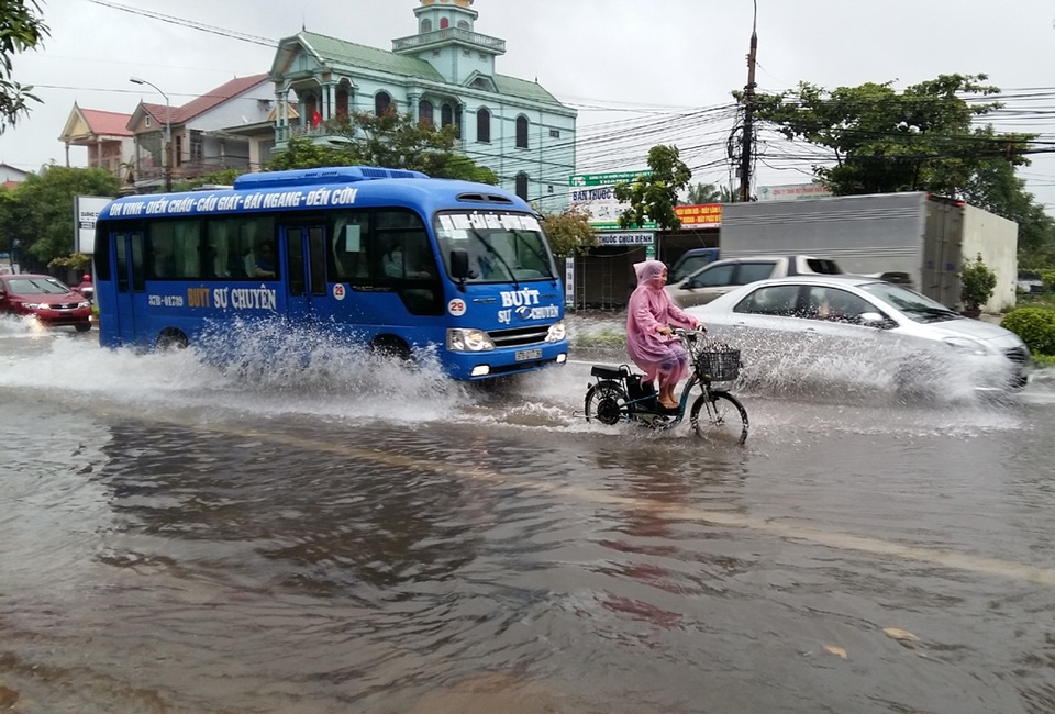 Cây đổ la liệt sau bão số 4, mưa ngập nhiều nơi - 23 Cây đổ la liệt sau bão số 4, mưa ngập nhiều nơi - 23