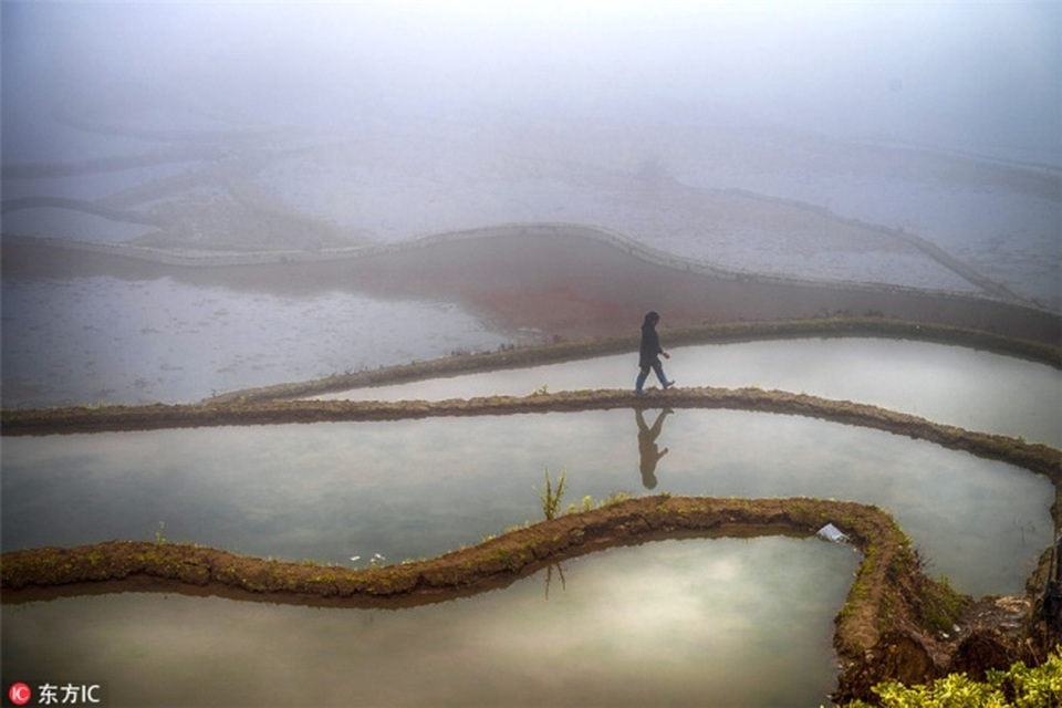 Ngất ngây trước những thửa ruộng bậc thang sặc sỡ như cầu vồng ở Trung Quốc - 6 Ngất ngây trước những thửa ruộng bậc thang sặc sỡ như cầu vồng ở Trung Quốc - 6